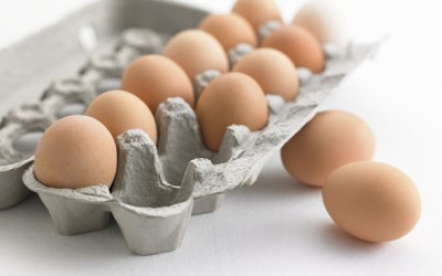 Eggsperiments