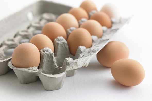 Eggsperiments