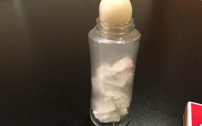 Egg in a Bottle